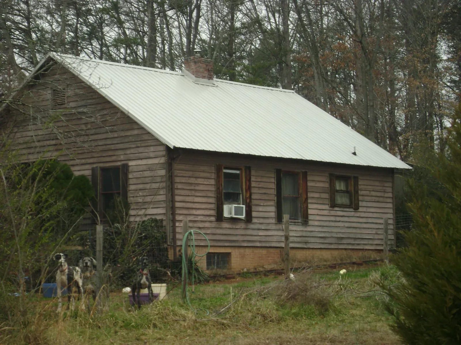 White metal roof on an old wood sided farmhouse, from a Metal Roof Installation job in Big Bar